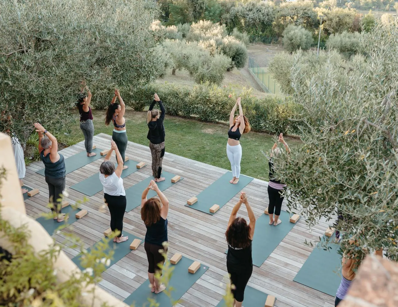 Join a retreat at Oliveto Estate