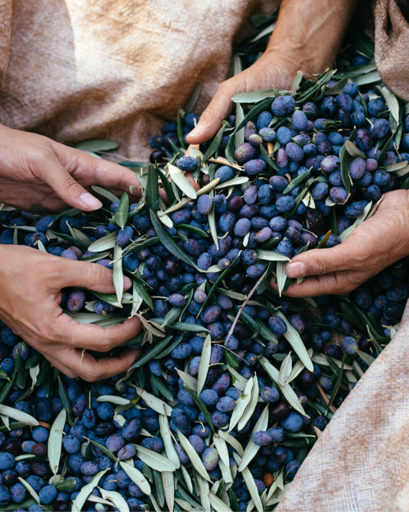 blueberries with hands in them