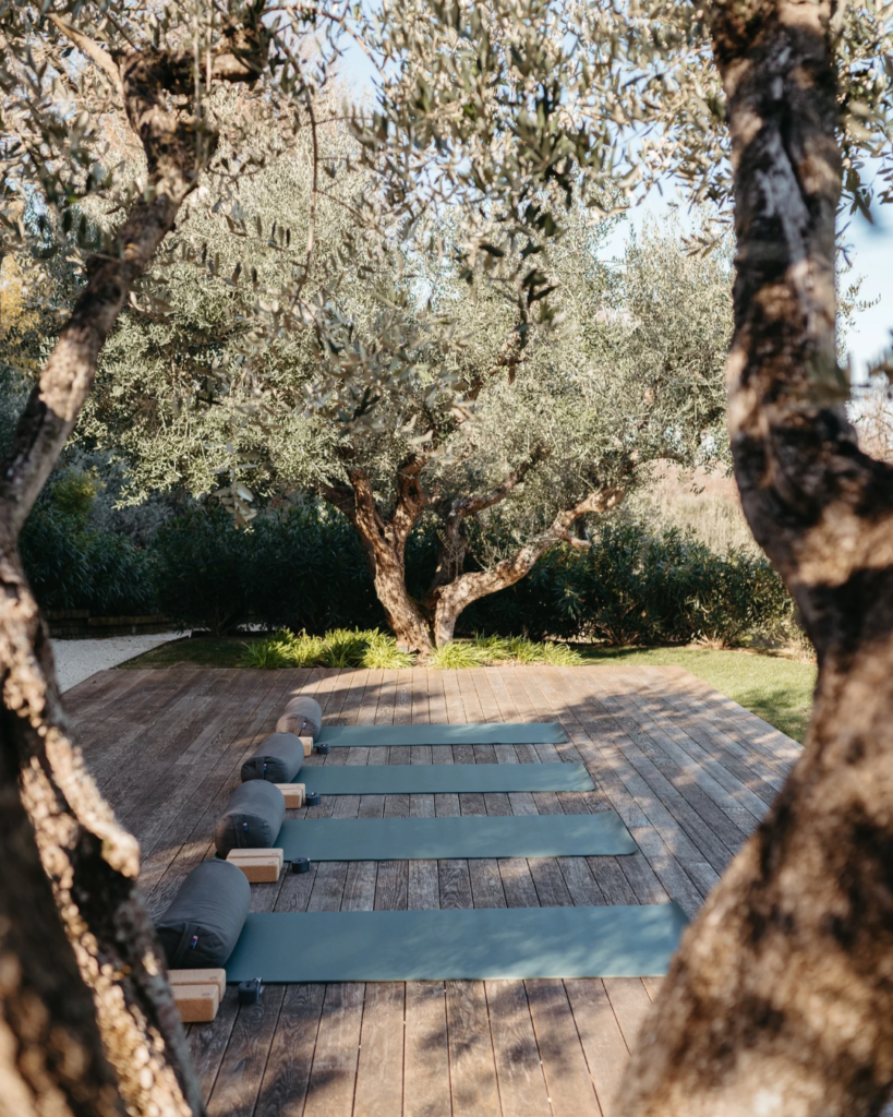 Oliveto Estate Deck 